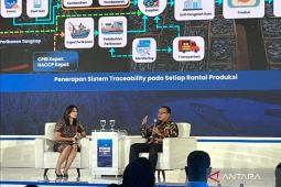 Ekspor Udang Indonesia Melonjak, KKP Pastikan Kualitas Pasar AS
