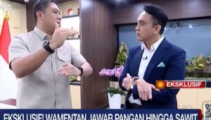 Harga Beras Naik, Wamen Pertanian Jelaskan Faktanya