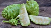 Manfaat dan Cara Mengolah Buah Mengkudu untuk Kesehatan