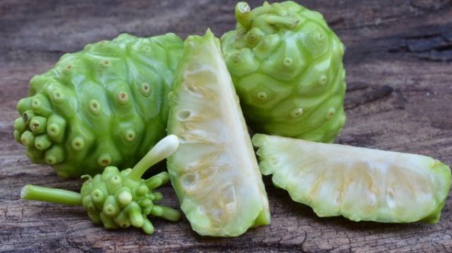 Manfaat dan Cara Mengolah Buah Mengkudu untuk Kesehatan