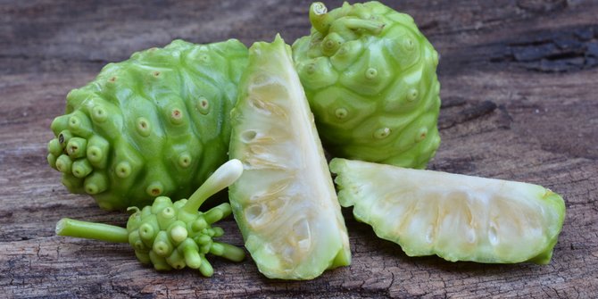Manfaat dan Cara Mengolah Buah Mengkudu untuk Kesehatan