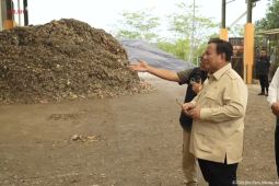 Pemerintah Indonesia Tinjau Penggunaan Genteng Plastik untuk Perbaikan Perumahan Publik