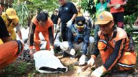 Wali Kota Jakarta Selatan Mengkhususkan Ikan Sapu-Sapu Mati Sebelum Dikubur