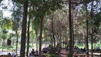 Wisata di Kediri yang Populer dan Harus Dikunjungi