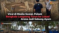 IMG-20261012-WA0043(1)